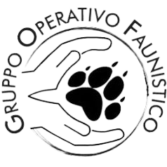 Logo Trasparente G.O.F.
